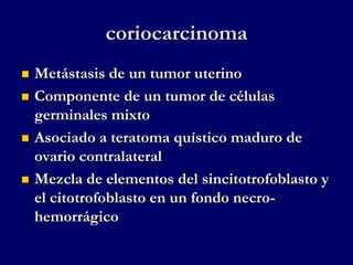 coriocarcinoma
 Metástasis de un tumor uterino
 Componente de un tumor de células
germinales mixto
 Asociado a teratoma quístico maduro de
ovario contralateral
 Mezcla de elementos del sincitotrofoblasto y
el citotrofoblasto en un fondo necro-
hemorrágico
 