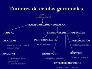 Tumores de células germinales
CELULAS
GERMINALES
TRANSFORMACION NEOPLASICA
MADURA EMBRIONAL (MULTIPOTENCIAL)
BENIGNOS
MALIGNOS
INDIFERENCIADOS
-DISGERMINOMA
TERATOMA QUISTICO MADURO
ESTROMA OVARI
CARCINOMA ESCAMOSO
CARCINOIDE
CARCINOMA TIROIDEO
PRIMITIVOS
-CARCINOMA EMBRIONAL
EXTRAEMBRIONARIOS
-TUMOR DEL SACO VITELINO
SOMATICO
-TERATOMA INMADURO
TROFOBLASTICO
-CORIOCARCINOMA
 