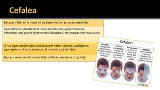 Cuadro clínico general