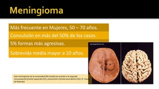 Sintomatología cerebelosaCuando presentan hidrocefaliaDebutan con ataxia de tronco y apendicular.signos de hipertensión endocraneal