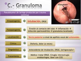 *
Pseudotumor de laringe producido por trauma
continuo
Etiopatogenia Intubación, ERGE
Fisiopatogenia
Erosión al contacto del tubo  inflamación 
infección (pericondritis)  granuloma localizado
Localización Tercio posterior a nivel de apófisis vocal del aritenoides
Clínica Disfonía, dolor (a veces)
Diagnóstico Antecedente de intubación, ERGE, laringoscopía I
Tratamiento
Médico: tratar ERGE. Cirugía: microcirugía
endolaríngea, láser con CO2
 