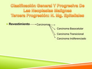  Revestimiento   Carcinomas
                               Carcinoma Basocelular

                               Carcinoma Transicional
                               Carcinoma Indiferenciado
 