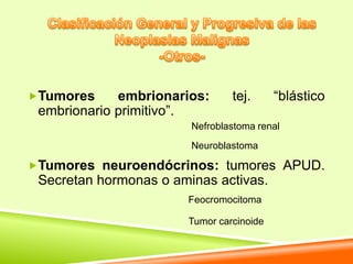 Tumores     embrionarios:      tej.      “blástico
 embrionario primitivo”.
                        Nefroblastoma renal
                        Neuroblastoma

Tumores neuroendócrinos: tumores APUD.
 Secretan hormonas o aminas activas.
                       Feocromocitoma

                       Tumor carcinoide
 