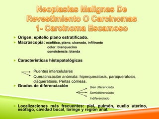  Origen: epitelio plano estratificado.
 Macroscopía: exofítico, plano, ulcerado, infiltrante
                    color: blanquecino
                    consistencia: blanda

 Características histopatológicas


            Puentes intercelulares
            Queratinización anómala: hiperqueratosis, paraqueratosis,
            disqueratosis. Perlas córneas.
 Grados de diferenciación                    Bien diferenciado
                                              Semidiferenciado
                                              Indiferenciado

 Localizaciones más frecuentes: piel, pulmón, cuello uterino,
  esófago, cavidad bucal, laringe y región anal.
 