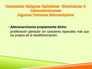 Adenocarcinoma propiamente dicho:
 proliferación glandular sin caracteres especiales más que
 los propios de la desdiferenciación.
 