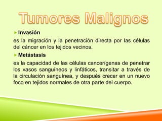  Invasión
es la migración y la penetración directa por las células
del cáncer en los tejidos vecinos.
 Metástasis
es la capacidad de las células cancerígenas de penetrar
los vasos sanguíneos y linfáticos, transitar a través de
la circulación sanguínea, y después crecer en un nuevo
foco en tejidos normales de otra parte del cuerpo.
 