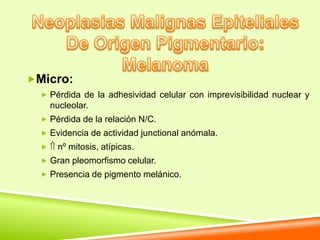 Micro:
   Pérdida de la adhesividad celular con imprevisibilidad nuclear y
      nucleolar.
   Pérdida de la relación N/C.
   Evidencia de actividad junctional anómala.
       nº mitosis, atípicas.
   Gran pleomorfismo celular.
   Presencia de pigmento melánico.
 