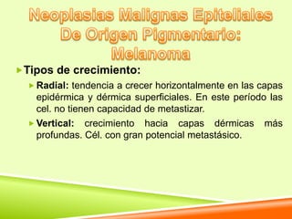 Tipos de crecimiento:
   Radial: tendencia a crecer horizontalmente en las capas
    epidérmica y dérmica superficiales. En este período las
    cel. no tienen capacidad de metastizar.
   Vertical: crecimiento hacia capas dérmicas más
    profundas. Cél. con gran potencial metastásico.
 