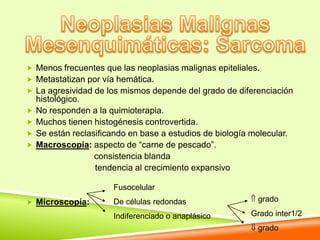  Menos frecuentes que las neoplasias malignas epiteliales.
 Metastatizan por vía hemática.
 La agresividad de los mismos depende del grado de diferenciación
    histológico.
   No responden a la quimioterapia.
   Muchos tienen histogénesis controvertida.
   Se están reclasificando en base a estudios de biología molecular.
   Macroscopía: aspecto de “carne de pescado”.
                   consistencia blanda
                   tendencia al crecimiento expansivo

                        Fusocelular
 Microscopía:          De células redondas                  grado

                        Indiferenciado o anaplásico        Grado inter1/2
                                                             grado
 