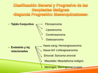 Tejido Conjuntivo    Fibrosarcoma

                        Liposarcoma
                        Condrosarcoma
                        Osteosarcoma

                      Vasos sang: Hemangiosarcoma
 Endotelio y tej.
  relacionados        Vasos linf: Linfangiosarcoma
                      Sinovial: Sarcoma sinovial
                       Mesotelio: Mesotelioma maligno

                       Meninges: Meningioma invasor
 