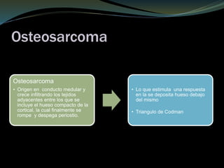 Osteosarcoma
Osteosarcoma
• Origen en conducto medular y
crece infiltrando los tejidos
adyacentes entre los que se
incluye el hueso compacto de la
cortical, la cual finalmente se
rompe y despega periostio.
• Lo que estimula una respuesta
en la se deposita hueso debajo
del mismo
• Triangulo de Codman
 