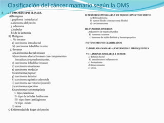 Clasificación del cáncer mamario según la OMS I -  1. TUMORES EPITELIALES. A)Benignos 1.papiloma  intraductal  2.adenoma del pezón  3. adenoma a)tubular  b) de la lactancia  B) Malignos. 1. No invasor  a) carcinoma intraductal b) carcinoma lobulillar  in situ. 2 ) Invasor a)Carcinoma ductal invasor b)carcinoma ductal invasor con componentes  intraductales predominantes.  c) carcinoma lobulillar invasor  d) carcinoma mucinoso e) carcinoma medular  f) carcinoma papilar g) carcinoma tubular h) carcinoma quístico adenoide i) carcinoma secretorio (juvenil) j) carcinoma apocrino k)carcinoma con metaplasia l- tipo escamoso II- tipo de células fusiformes III- tipo óseo cartilaginoso IV-tipo  mixto l) otros 3 ) Enfermedad de Paget del pezón. II-TUMORES EPITELIALES Y DE TEJIDO CONECTIVO MIXTO  A) Fibroadenoma B) tumor filoide (cistosarcoma filoide) c) carcinosarcoma III) TUMORES DIVERSOS A)Tumores de tejidos Blandos B) tumores cutaneos c) tumores de tejido linfoide y hematopoyetico  IV) TUMORES NO CLASIFICADOS V) DISPLASIA MAMARIA /ENFERMEDAD FIBROQUISTICA VI)  LESIONES SIMILARES A TUMOR a) Ectasia ductal b) pseudotumor inflamatorio c) hamartoma d) Ginecomastia e) otros. 