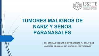 TUMORES MALIGNOS DE
NARIZ Y SENOS
PARANASALES
DR. SARIAAD EDUARDO ORTIZ ARENAS R4 ORL Y CCC
HOSPITAL REGIONAL LIC. ADOLFO LOPEZ MATEOS
 
