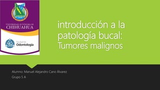 introducción a la
patología bucal:
Tumores malignos
Alumno: Manuel Alejandro Cano Álvarez
Grupo 5 A
 