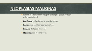 NEOPLASIAS MALIGNAS
 Cáncer es sinónimo de neoplasia maligna y asociada con
enfermedad letal
 Carcinoma del epitelio de revestimiento.
 Sarcoma de tejido mesenquimático.
 Linfoma de tejido linfático.
 Melanoma de melanocitos.
 