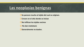 Las neoplasias benignas
Se parecen mucho al tejido del cual se originan.
Crecen en el sitio donde se inician
No infiltran los tejidos vecinos
 No dan metástasis
Generalmente no duelen.
 