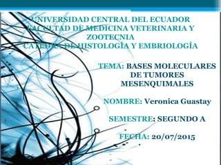 TEMA: BASES MOLECULARES
DE TUMORES
MESENQUIMALES
NOMBRE: Veronica Guastay
SEMESTRE: SEGUNDO A
FECHA: 20/07/2015
UNIVERSIDAD CENTRAL DEL ECUADOR
FACULTAD DE MEDICINA VETERINARIA Y
ZOOTECNIA
CATEDRA DE HISTOLOGÍA Y EMBRIOLOGÍA
 