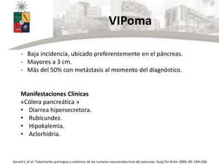 Vipoma Rash Tumores neuroendocrinos del páncreas | PPTX