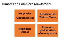 Neoplasias
Odontogênicas
Neoplasias de
Tecidos Moles
Neoplasias
Ósseas
Processos
proliferativos
não neoplásicos
Tumores do Complexo Maxilofacial
 