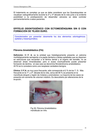 Tumores Odontogénicos 2006                                                         30



El tratamiento es complejo ya que se debe considerar que los Queratoquistes se
visualizan radiográficamente durante la 2ª y 3ª década de la vida junto a la evidente
posibilidad a la predisposición de desarrollar cánceres se debe controlar
permanentemente a estos pacientes.



EPITELIO ODONTOGÉNICO CON ECTOMESÉNQUIMA SIN O CON
FORMACIÓN DE TEJIDO DURO.

 Caracterizados por presentar claramente los dos elementos odontogénicos:
 epitelial y mesenquimático.




Fibroma Ameloblástico (FA)

Definición: El F. A. es la entidad que histológicamente presenta un estroma
morfológicamente semejante a la papila dentaria e islotes epiteliales que se disponen
en estructuras que recuerdan a la lámina dental y al órgano del esmalte, no se
observan áreas mineralizadas; pero si acaso eventualmente puede presentar
formación de dentina, en ese caso se denomina fibrodentinoma ameloblástico.
Al FA se lo considera como una neoplasia verdadera benigna.

Clínica: El F.A. es muy poco frecuente, sólo corresponde al 2 % de los T. O. Más
frecuente en la 1ª. y 2ª. década de la vida, cerca del 90 % se presenta en la
mandíbula (ángulo y región de molares y premolares). La mayoría de los casos se
presenta con aumento de volumen indoloro. Es descubierto por alteraciones de la
erupción.




                         Fig 39. Fibroma Ameloblástico
                         mandibular en niño




                                                                                   30
 