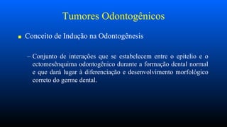 Tumores Odontogênicos
■ Conceito de Indução na Odontogênesis
– Conjunto de interações que se estabelecem entre o epitelio e o
ectomesênquima odontogênico durante a formação dental normal
e que dará lugar à diferenciação e desenvolvimento morfológico
correto do germe dental.
 