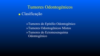 Tumores Odontogénicos
■ Clasificação
»Tumores do Epitélio Odontogênico
»Tumores Odontogênicos Mistos
»Tumores do Ectomesenquima
Odontogênico
 
