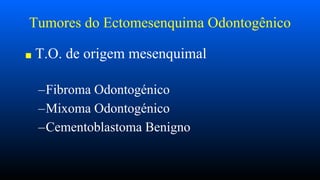 Tumores do Ectomesenquima Odontogênico
■ T.O. de origem mesenquimal
–Fibroma Odontogénico
–Mixoma Odontogénico
–Cementoblastoma Benigno
 