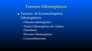 Tumores Odontogênicos
■ Tumores do Ectomesênquima
Odontogênicos
– Fibroma odontogênico
– Tumor Odontogênico de Células
Granulares
– Mixoma Odontogênico
– Cementoblastoma.
 