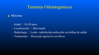 Tumores Odontogénicos
■ Mixoma
– Iedad 10-20 anos
– Localización Mol-mand
– Radiología Lesão radiolúcida unilocular ou bolhas de sabão
– Tratamento Resecção agressiva em bloco
 