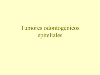 Tumores odontogénicos
epiteliales
 