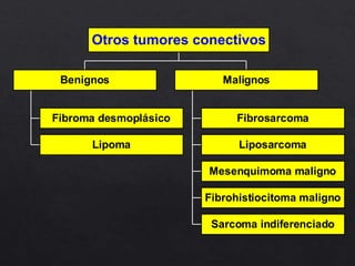 Fibroma desmoplásico
Lipoma
Benignos
Fibrosarcoma
Liposarcoma
Mesenquimoma maligno
Fibrohistiocitoma maligno
Sarcoma indiferenciado
Malignos
Otros tumores conectivos
 