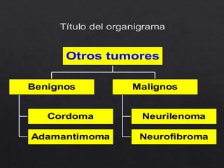 Título del organigrama
Cordoma
Adamantimoma
Benignos
Neurilenoma
Neurofibroma
Malignos
Otros tumores
 