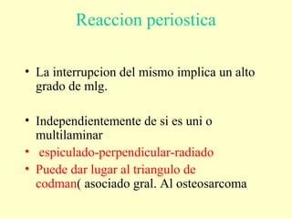 Reaccion periostica
• La interrupcion del mismo implica un alto
grado de mlg.
• Independientemente de si es uni o
multilaminar
• espiculado-perpendicular-radiado
• Puede dar lugar al triangulo de
codman( asociado gral. Al osteosarcoma
 
