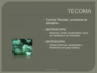  Tumores “fibroides”, produtores de
estrogênio,
 MACROSCOPIA
• Redondos, ovóide, encapsulados, duros,
com tendência a cor amarelada,
 MICROSCOPIA
• Células fusiformes, semelhantes a
fibroblastos com gotas lipídicas.
Chirlei A Ferreira
 