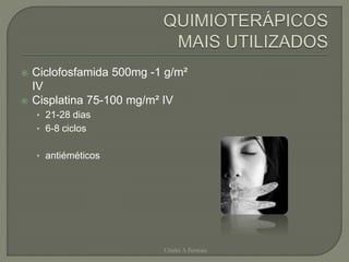  Ciclofosfamida 500mg -1 g/m²
IV
 Cisplatina 75-100 mg/m² IV
• 21-28 dias
• 6-8 ciclos
• antiéméticos
Chirlei A Ferreira
 