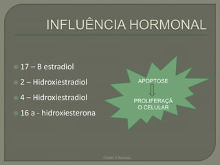  17 – B estradiol
 2 – Hidroxiestradiol
 4 – Hidroxiestradiol
 16 a - hidroxiesterona
Chirlei A Ferreira
APOPTOSE
PROLIFERAÇÃ
O CELULAR
 