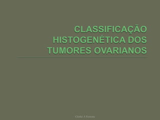 Chirlei A Ferreira
 