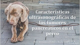 Características
ultrasonográficas de
los tumores
pancreáticos en el
perro
M.V. Verónica Robles Nuñovero
 