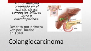 Colangiocarcinoma
Tumor maligno
originado en el
epitelio de los
conductos biliares
intra o
extrahepáticos.
Descrito por primera
vez por Durand-
en 1840
 