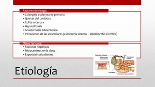 Etiología
•Colangitis esclerosarte primaria
•Quistes del colédoco
•Colitis ulcerosa
•Hepatolitiasis
•Anastomosis bilioenterica
•Infecciones de las vías biliares (Clonorchis sinensis – Opisthorchis viverrini)
Factores de riesgo:
•Fasciolas hepáticas
•Nitrosaminas en la dieta
•Exposición a la dioxina
Otros factores:
 
