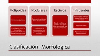 Clasificación
Polipoides
Carcinomas papilares
Crecen hacia la luz de
la vía biliar,
protruyendo desde una
base semipedunculada,
Nodulares
Tumoración grisácea y
firme de la mucosa.
El límite con la
mucosa normal está
generalmente bien
definido.
Escirros
Tiende a infiltrar la
totalidad de la pared
biliar, provocando una
constricción anular
Infiltrantes
Se extienden de forma
lineal a lo largo de la
vía biliar
Superficie áspera
Aparecen como una
estenosis ductal.
Morfológica
 