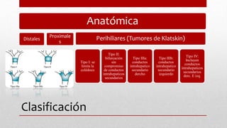 Clasificación
Anatómica
Distales
Proximale
s
Perihiliares (Tumores de Klatskin)
Tipo I: se
limita la
colédoco
Tipo II:
bifurcación
sin
compromiso
de conductos
intrahepaticos
secundarios
Tipo IIIa:
conductos
intrahepatico
secundario
dercho
Tipo IIIb:
conductos
intrahepatico
secundario
izquierdo
Tipo IV:
Incluyen
conductos
intrahepaticos
secundarios
derc. E izq.
 