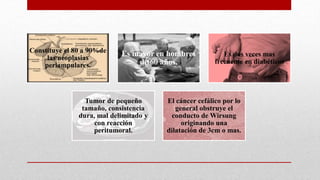 Constituye el 80 a 90%de
las neoplasias
periampulares.
Es mayor en hombres
de 60 años.
Es dos veces mas
frecuente en diabéticos
Tumor de pequeño
tamaño, consistencia
dura, mal delimitado y
con reacción
peritumoral.
El cáncer cefálico por lo
general obstruye el
conducto de Wirsung
originando una
dilatación de 3cm o mas.
 