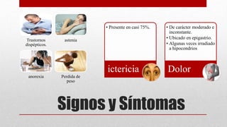 Signos y Síntomas
Trastornos
dispépticos.
astenia
anorexia Perdida de
peso
• Presente en casi 75%.
ictericia
• De carácter moderado e
inconstante.
• Ubicado en epigastrio.
• Algunas veces irradiado
a hipocondrios
Dolor
 