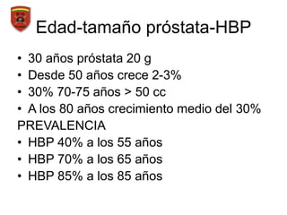 Edad-tamaño próstata-HBP
• 30 años próstata 20 g
• Desde 50 años crece 2-3%
• 30% 70-75 años > 50 cc
• A los 80 años crecimiento medio del 30%
PREVALENCIA
• HBP 40% a los 55 años
• HBP 70% a los 65 años
• HBP 85% a los 85 años
 