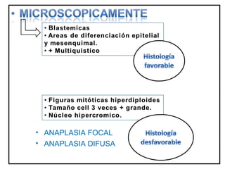• ANAPLASIA FOCAL
• ANAPLASIA DIFUSA
 
