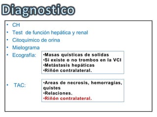 •   CH
•   Test de función hepática y renal
•   Citoquimico de orina
•   Mielograma
•   Ecografía:




•   TAC:
 