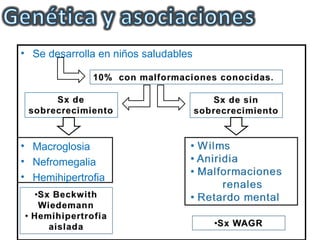 • Se desarrolla en niños saludables




• Macroglosia
• Nefromegalia
• Hemihipertrofia
 