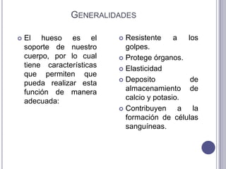 GENERALIDADES

   El hueso es el           Resistente     a   los
    soporte de nuestro        golpes.
    cuerpo, por lo cual      Protege órganos.
    tiene características    Elasticidad
    que permiten que
                             Deposito            de
    pueda realizar esta
    función de manera         almacenamiento de
    adecuada:                 calcio y potasio.
                             Contribuyen      a la
                              formación de células
                              sanguíneas.
 