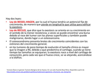 Hay dos leyes:
• Ley de BESSEL-HAGEN, por la cual el hueso tendría un potencial fijo de
crecimiento, de manera que pierde en longitud lo que utiliza para edificar
la exostosis.
• Ley de RECLUS, que dice que la exostosis se orienta en su crecimiento en
el sentido de la menor resistencia; a veces se puede encontrar una bursa
debido al roce del tumor con los planos superficiales y también puede
malignizarse, dando lugar a un osteosarcoma.
• El osteocondroma presenta brotes de crecimiento coincidentes con los
estirones del crecimiento general;
• en los tumores de poco tiempo de evolución el tamaño clínico es mayor
que la imagen a RX, debido a que predomina el cartílago, cuando ya tiene
tiempo los tamaños se equiparan; la exostosis nace a nivel del cartílago de
conjunción, pero cada vez que el hueso crece, se va alejando, acercándose
a la diáfisis.

Tumores Óseos en general. Tumores Benignos de los Huesos. Dr. Luis Julio Huaroto Rosa-Pérez. Disponible a partir de:
http://sisbib.unmsm.edu.pe/bibvirtual/libros/medicina/cirugia/tomo_ii/tumores_ose_benig.htm

 